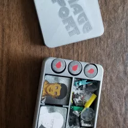 Damage Report Token Case