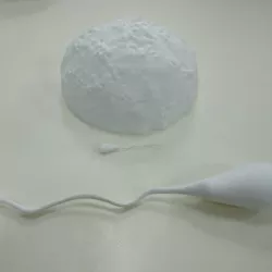 E3D+VET exercise: Fertilization of the ovum and maturation