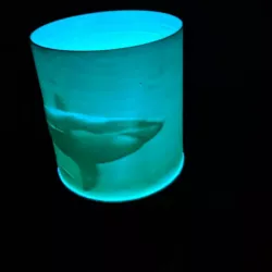 Echo Dot Night Light