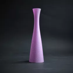 Elegant Vase