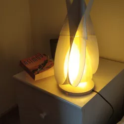 Enneper Beside Lamp