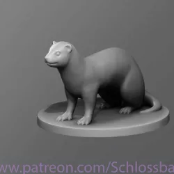 Ferret