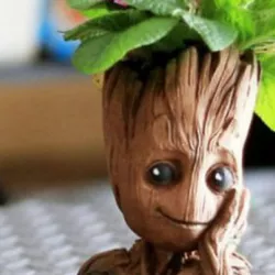 flower pot