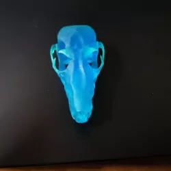Fruit Bat Skull