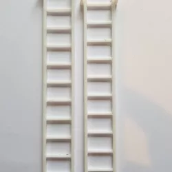 G scale (gauge) extension ladder.