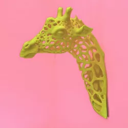 Giraffe Spots