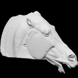 Head of the Horse of Selene