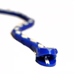 Hissy Snake