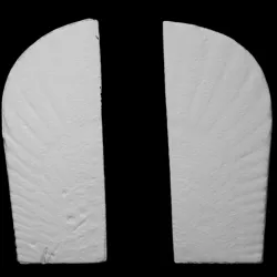 Horus's wings