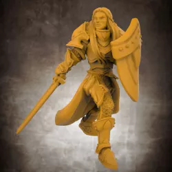 Human Female Paladin