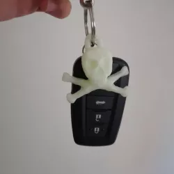jolly roger skull key chain