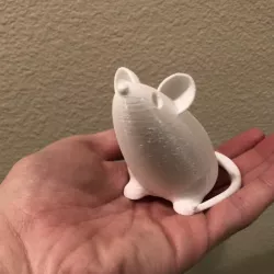 Lil' Mouse