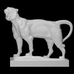 Lion and Tiger