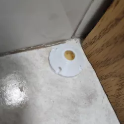 Liquid Ant Bait Trap