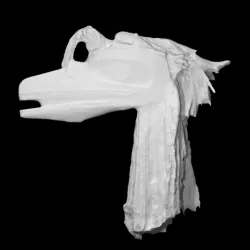 Mask - Raven