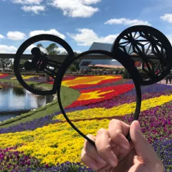 Mickey Mouse Ears