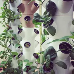 Modular Hydroponic System