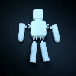Mr. Robit