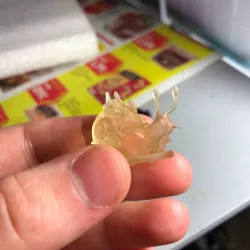 Mystic Ally Crystal Snail for Gloomhaven