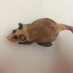 Opossum