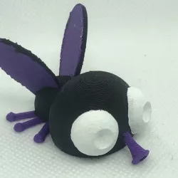 Phillip Fly