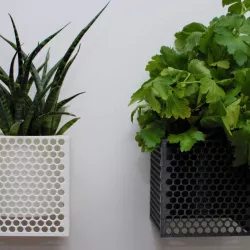 Plant or flower pot