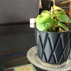 Planter