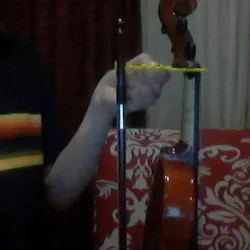 polypanel violin bow holder