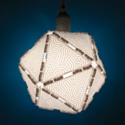 Polypanels // Coral Lithophane