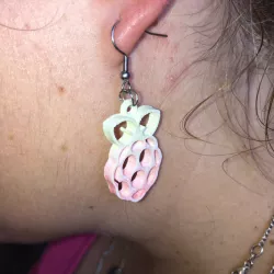 Raspberry Pi earrings
