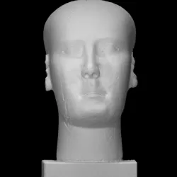"Reserve head"