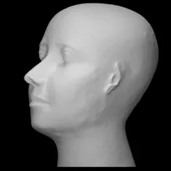 "Reserve head"