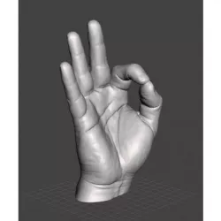 Right Hand Model