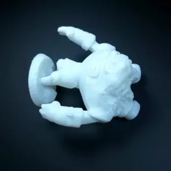 RoboRock