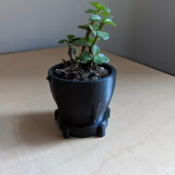 Rotating Succulent Planter