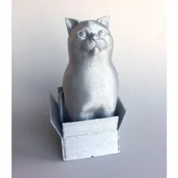 Schrodinky: British Shorthair Cat Sitting In A Box(single extrusion version)