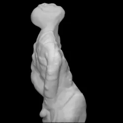ScottFHallSculpture001