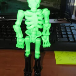 Skeleton