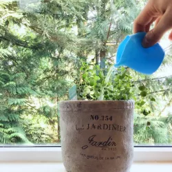 Small Modern Watering Can