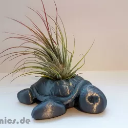 Succulent Planter Turtle