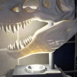 T-REX_Desk_Lamp