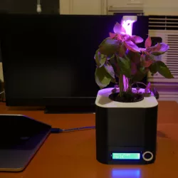 Table Top Hydroponics