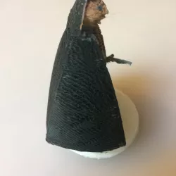 Thief