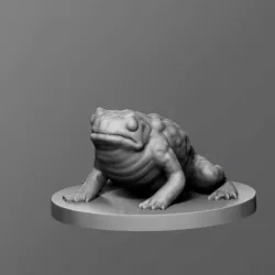 Toad