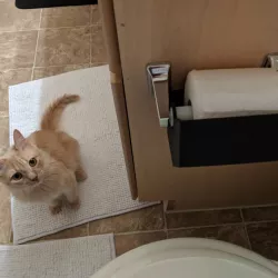 Toilet Paper Protector (OLD/REPLACED)