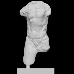 Torso