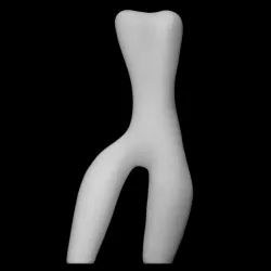 Torso