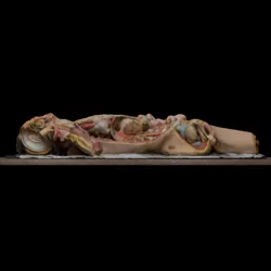 Wax model of a prepared corpse