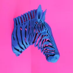 Zebra Stripes