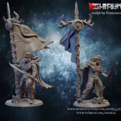 $3.90Wood elf male champion